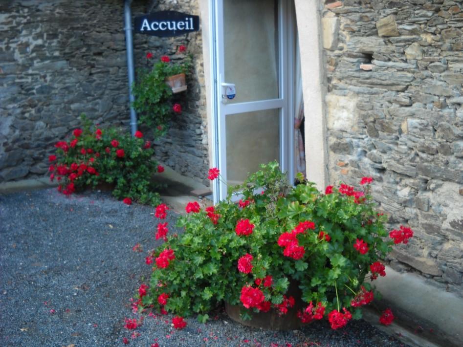 Domaine De La Cour Bed & Breakfast Sainte-Gemme-dʼAndigné Eksteriør bilde
